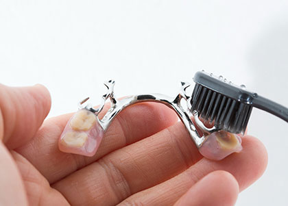 A denture being cleaned with a brush